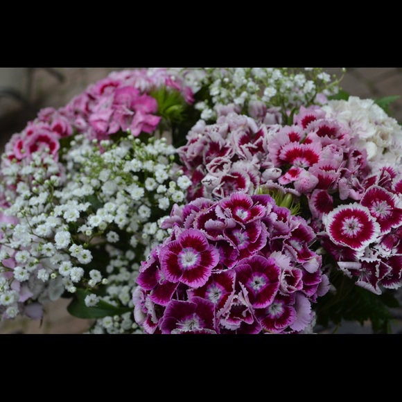 Meet your Posher, Kathy - Picture 2 of 2